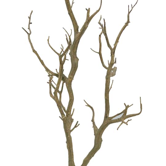 Bare Birch Branch by Ashland® | Michaels